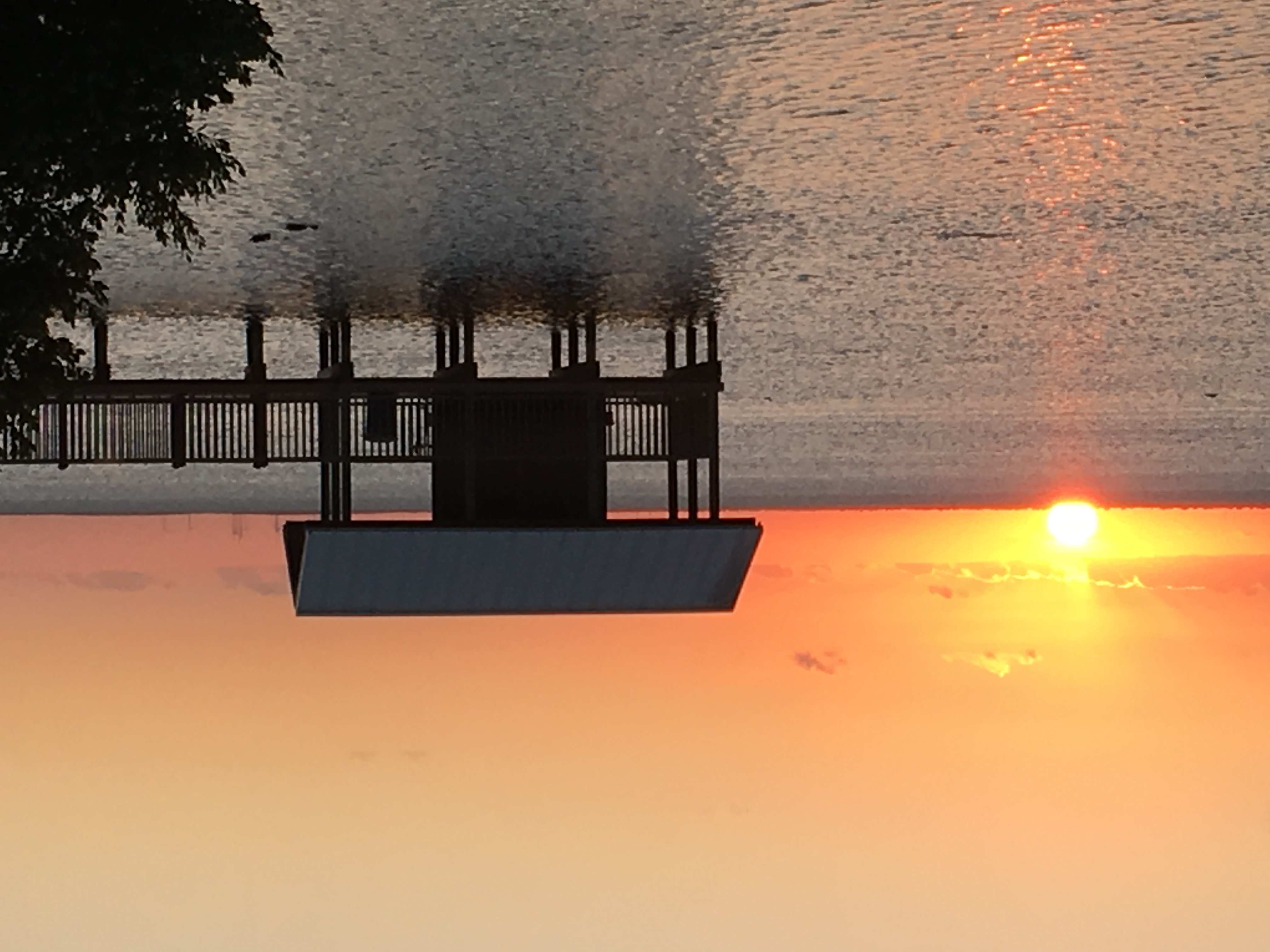 Boardwalk at South Padre Island Birding Center